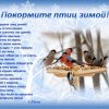 День зимующих птиц